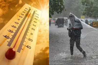 दिल्ली से राजस्थान तक गर्मी या बारिश  यूपी में सबसे अधिक पारा  जानें देश का कैसा है मौसम