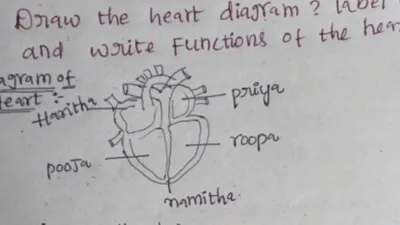 कॉपी में दिल बनाकर लिखे 5 लड़कियों के नाम  डायग्राम से समझाया कहां पर बसी है कौन 
