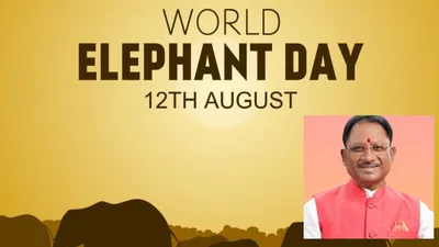 cm विष्णुदेव साय world elephant day के इस खास कार्यक्रम में होंगे शामिल  इन मामलों पर होगी चर्चा