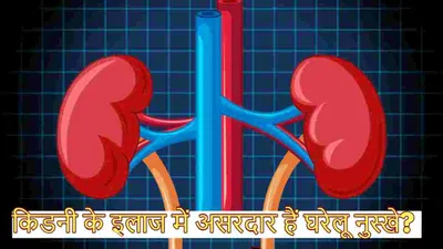 kidney health  होम रेमेडीज से भी क्या किया जा सकता है किडनी ट्रीटमेंट  एक्सपर्ट से जानें