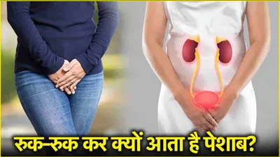 urine problems  रुक रुक कर पेशाब आना गंभीर बीमारी के संकेत  महिलाएं न करें इग्नोर