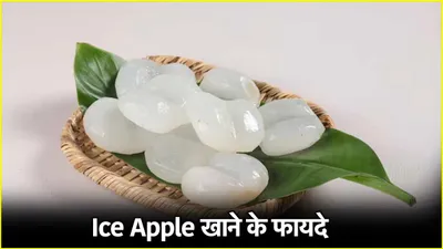 ice apple क्या और कैसे फायदेमंद  स्वाद में नारियल जैसा दिखने में लीची