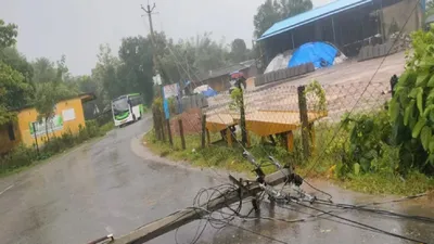 cyclone dana  चक्रवाती तूफान से कैसे करें बचाव  जानें नुकसान से बचने को क्या करें क्या न करें 