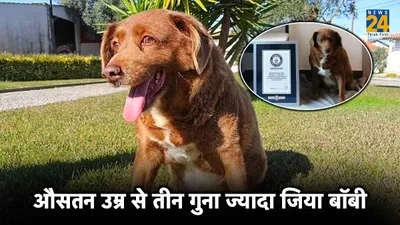 दुनिया के सबसे उम्रदराज सेलिब्रिटी कुत्ते की मौत  पैदा होने के तुरंत बाद मौत को दिया था चकमा