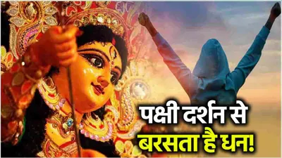 navratri 2024  दुर्गा पूजा में इन 5 पक्षियों का दिखना है बेहद शुभ  देवी मां देती हैं सौभाग्य  समृद्धि और सेहत का वरदान 