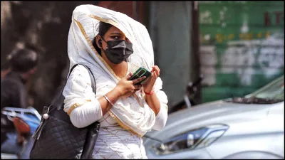 heatwave alert  दिल्ली में 52 3 डिग्री पहुंच गया पारा  भीषण गर्मी के बीच क्या करें और क्या नहीं 