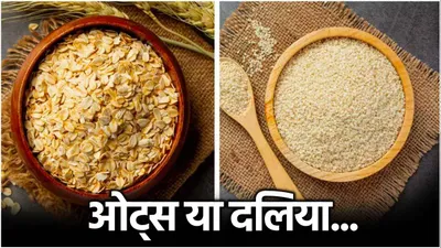 oats vs dalia  वजन घटाना हो या बढ़ाना  जानें ओट्स और दलिया में से कौन सा सबसे बेस्ट 