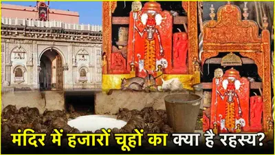 karni mata mandir  देश का एक ऐसा मंदिर जहां पूजे जाते हैं चूहे  जूठा प्रसाद है भक्तों के लिए वरदान 