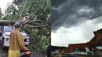 बाइक के साथ हवा में उड़ा शख्स  ताश के पत्ते की तरह ढह गई बालकनी  चीन में तूफान का कहर  देखें वीडियो