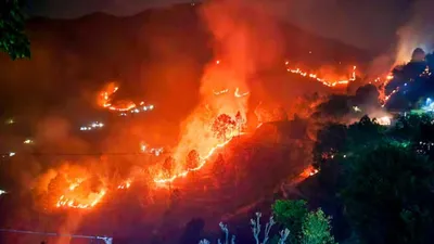 क्या होती है बांबी बकेट  नैनीताल के जंगलों में लगी आग बुझाने में किया जा रहा इस्तेमाल
