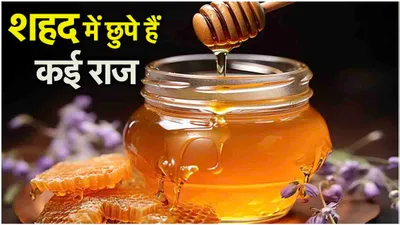 honey benefits  इन चीजों के साथ लें शहद  कई गंभीर बीमारियां होंगी छूमंतर