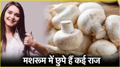 mushroom benefits  मशरूम में छुपे हैं कई राज  कोलेस्ट्रॉल से लेकर कैंसर के खतरे को करता है कम