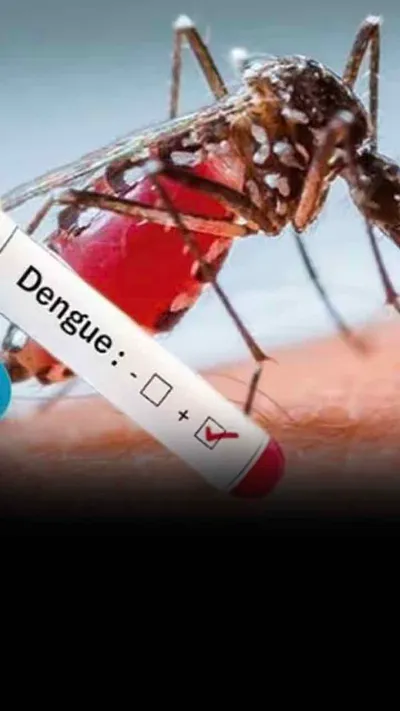 डेंगू बुखार के 7 चेतावनी संकेत